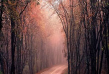 关于集结日费耶诺德止住颓势：NBA总决赛节点到来，质疑声仍在，赛季目标并未改变的信息